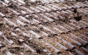 Velly roof cleaning companies